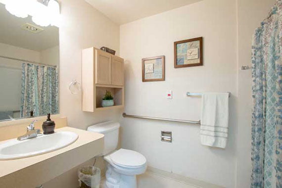 Avamere at Oak Park Apartment Bathroom
